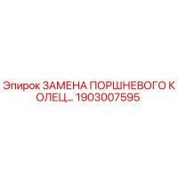 1903007595 ЗАМЕНА ПОРШНЕВОГО КОЛЬЦА Epiroc