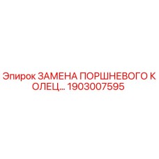 1903007595 ЗАМЕНА ПОРШНЕВОГО КОЛЬЦА Epiroc
