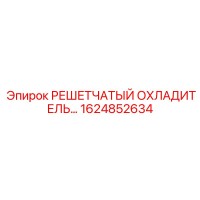 1624852634 РЕШЕТЧАТЫЙ ОХЛАДИТЕЛЬ Epiroc
