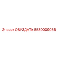 5580009066 ОБУЗДАТЬ Epiroc