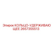 2657355513 КОЛЬЦО-УДЕРЖИВАЮЩЕЕ Epiroc