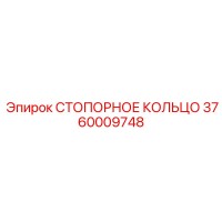 3760009748 СТОПОРНОЕ КОЛЬЦО Epiroc
