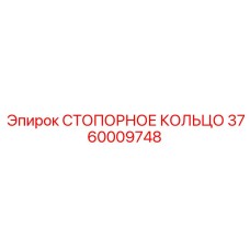3760009748 СТОПОРНОЕ КОЛЬЦО Epiroc