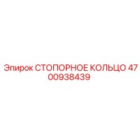 4700938439 Стопорное кольцо Epiroc