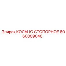 6060009046 КОЛЬЦО СТОПОРНОЕ Epiroc