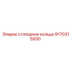 Высокопрочное стопорное кольцо 9170315930 Epiroc