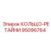 95096764 КОЛЬЦО-РЕТАЙНИ Epiroc