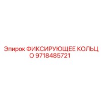 9718485721 ФИКСИРУЮЩЕЕ КОЛЬЦО Epiroc