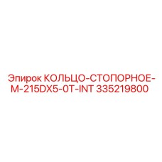 335219800 КОЛЬЦО-СТОПОРНОЕ-M-215DX5-0T-INT Epiroc