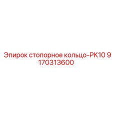 9170313600 стопорное кольцо-PK10 Epiroc