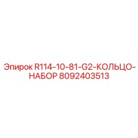 8092403513 R114-10-81-G2-КОЛЬЦО-НАБОР Epiroc