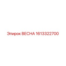 1613322700 ВЕСНА Epiroc