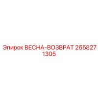 2658271305 ВЕСНА-ВОЗВРАТ Epiroc