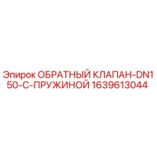 1639613044 ОБРАТНЫЙ КЛАПАН-DN150-С-ПРУЖИНОЙ - Epiroc