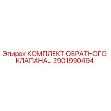 2901990494 КОМПЛЕКТ ОБРАТНОГО КЛАПАНА Epiroc