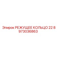 8973036863 РЕЖУЩЕЕ КОЛЬЦО 22 Epiroc
