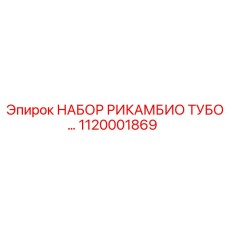 1120001869 НАБОР РИКАМБИО ТУБО Epiroc