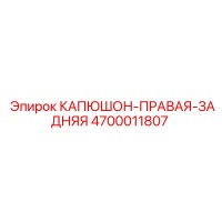 4700011807 КАПЮШОН-ПРАВАЯ-ЗАДНЯЯ Epiroc