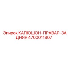 4700011807 КАПЮШОН-ПРАВАЯ-ЗАДНЯЯ Epiroc
