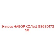 GS63017358 НАБОР КОЛЬЦ Epiroc