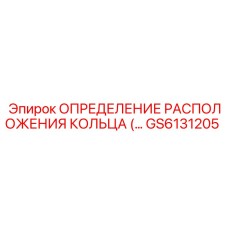 GS6131205 ОПРЕДЕЛЕНИЕ РАСПОЛОЖЕНИЯ КОЛЬЦА (… Epiroc