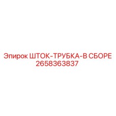 2658363837 ШТОК-ТРУБКА-В СБОРЕ Epiroc