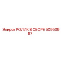 50953967 РОЛИК В СБОРЕ Epiroc