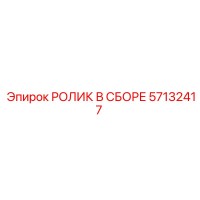 57132417 РОЛИК В СБОРЕ Epiroc