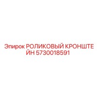 5730018591 РОЛИКОВЫЙ КРОНШТЕЙН Epiroc