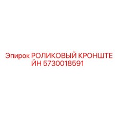5730018591 РОЛИКОВЫЙ КРОНШТЕЙН Epiroc