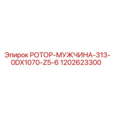 1202623300 РОТОР-МУЖЧИНА-313-0DX1070-Z5-6 Epiroc