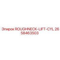 2658463503 ROUGHNECK-LIFT-CYL Epiroc