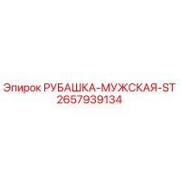 2657939134 РУБАШКА-МУЖСКАЯ-ST Epiroc