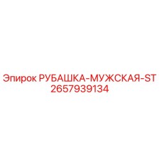 2657939134 РУБАШКА-МУЖСКАЯ-ST Epiroc