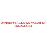 2657939084 РУБАШКА-МУЖСКАЯ-ST Epiroc