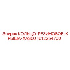 1612254700 КОЛЬЦО-РЕЗИНОВОЕ-КРЫША-XAS50 Epiroc