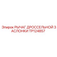 TP124857 РЫЧАГ ДРОССЕЛЬНОЙ ЗАСЛОНКИ Эпирок