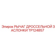 TP124857 РЫЧАГ ДРОССЕЛЬНОЙ ЗАСЛОНКИ Эпирок