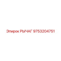 9753204751 РЫЧАГ Epiroc
