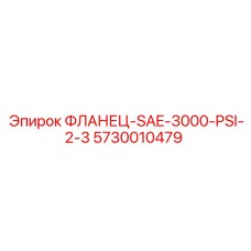 5730010479 ФЛАНЕЦ-SAE-3000-PSI-2-3 Epiroc