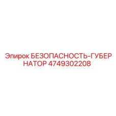 4749302208 БЕЗОПАСНОСТЬ-ГУБЕРНАТОР Epiroc