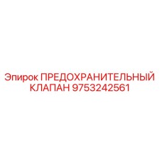 9753242561 ПРЕДОХРАНИТЕЛЬНЫЙ КЛАПАН Epiroc