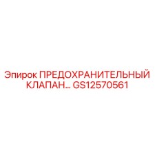 GS12570561 ПРЕДОХРАНИТЕЛЬНЫЙ КЛАПАН Epiroc