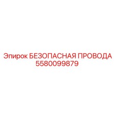 5580099879 БЕЗОПАСНАЯ ПРОВОДА Epiroc