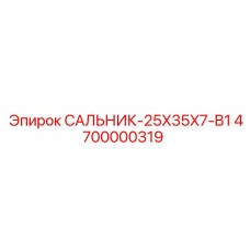 4700000319 САЛЬНИК-25X35X7-B1 Epiroc