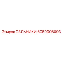 6060006093 САЛЬНИКИ Epiroc