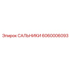 6060006093 САЛЬНИКИ Epiroc