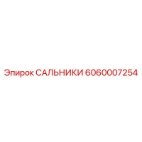 6060007254 САЛЬНИКИ Epiroc