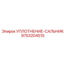 9753204515 УПЛОТНЕНИЕ-САЛЬНИК Epiroc