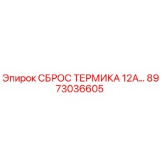 8973036605 СБРОС ТЕРМИКА 12А… Epiroc